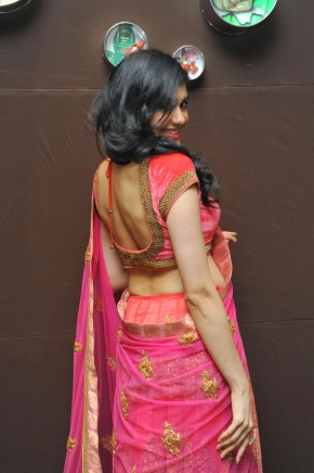 Actress Adah Sharma Photos In Saree