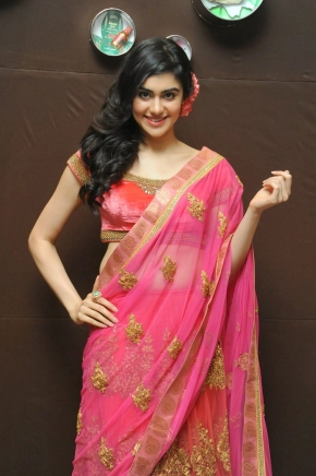 Actress Adah Sharma Photos In Saree