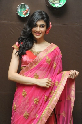 Actress Adah Sharma Photos In Saree