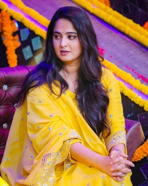 Actress Anushka Shetty Hit Movie Pre Release Function Stills