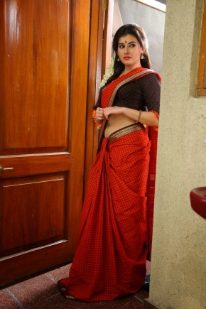 Actress Archana Red Saree Photos