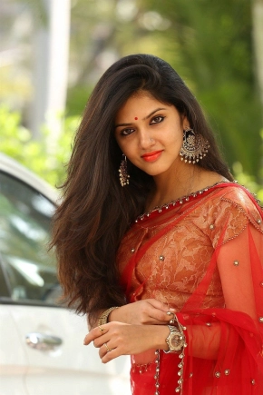 Actress Gayathri Suresh Looks Cute In Red Saree Photoshoot