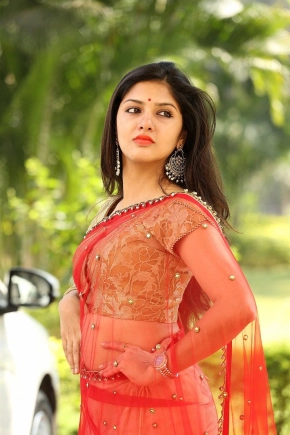 Actress Gayathri Suresh Looks Cute In Red Saree Photoshoot