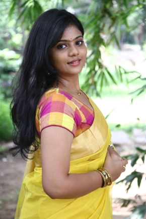 Actress Megan Ellen In Yellow Saree Photos