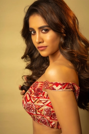 Actress Nabha Natesh Latest Hot Photos