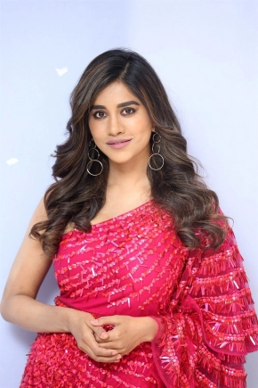 Actress Nabha Natesh New Stills