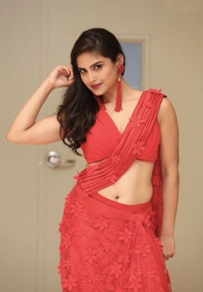 Actress Naina Ganguly In Red Saree Hot Stills