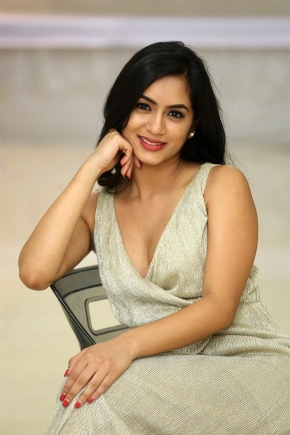 Actress Neha Krishna Photos