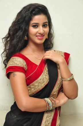 Actress Pavani Reddy In Saree Hot Stills