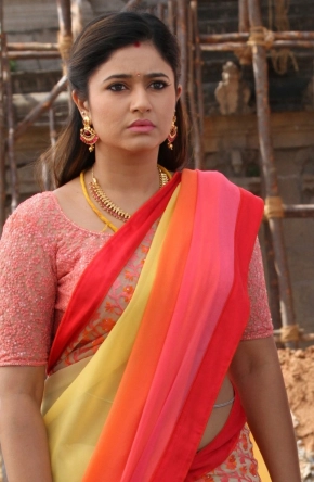 Actress Poonam Bajwa In Saree Photo Gallery Hot Stills Hd Photos