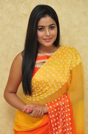 Actress Shamna Kasim (Poorna) Latest Photos