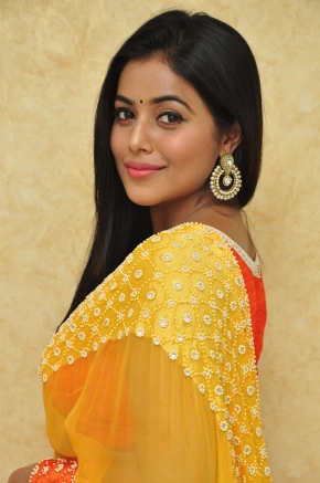 Actress Shamna Kasim (Poorna) Latest Photos