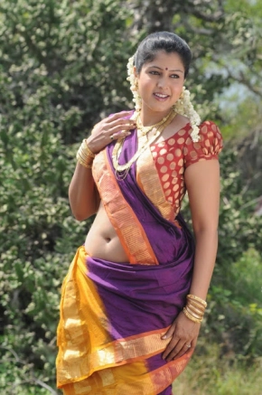 Actress Sheryl Pinto Hot Navel In Saree Photos