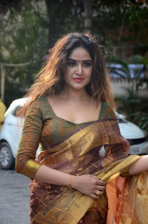 Actress Sony Charishta Hot In Saree