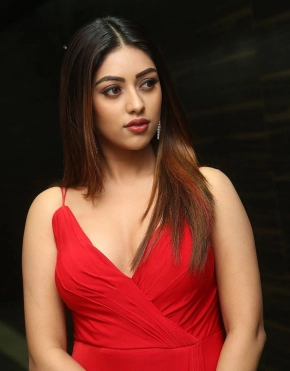 Beautiful Actress Anu Emmanuel Hd Photos