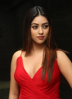 Beautiful Actress Anu Emmanuel Hd Photos