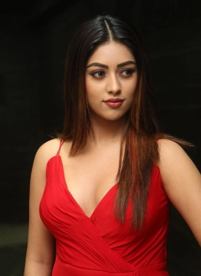 Beautiful Actress Anu Emmanuel Hd Photos