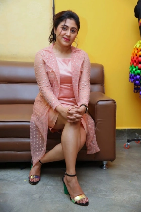 Beautiful Actress Meghali Meenakshi Hot Stills In A Press Meet