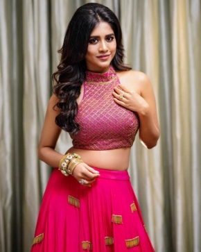 Beautiful Actress Nabha Natesh Looks Stunning In Pink Dress