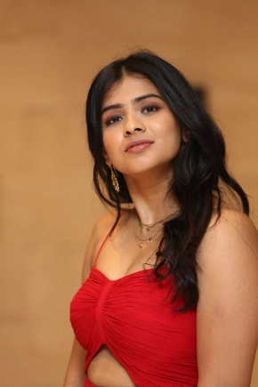 Hebah Patel Stunning Looks At Aha Media Ott Platform Launch