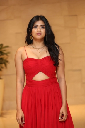 Hebah Patel Stunning Looks At Aha Media Ott Platform Launch