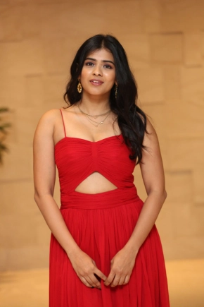 Hebah Patel Stunning Looks At Aha Media Ott Platform Launch