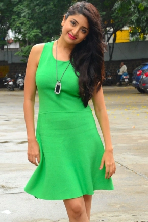 Hot Actress Poonam Kaur In Sexy Green Dress Photo Gallery