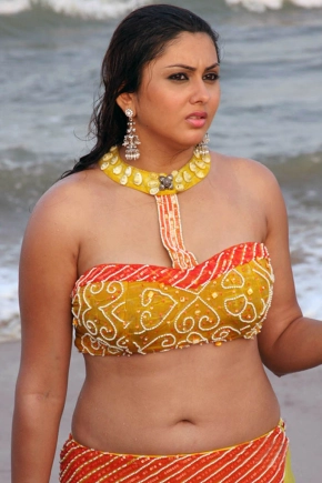 Namitha Stuns With New Hot Look 100 Photos Album