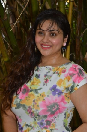 Namitha Hot 100 Photos Gallery