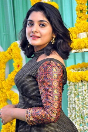 Nivetha Thomas Hot In Saree