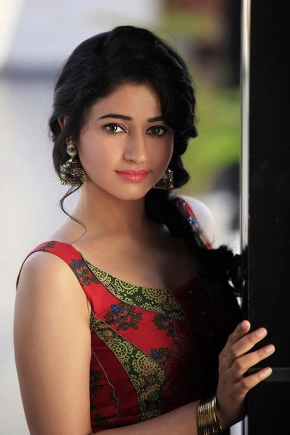 Poonam Bajwa Hot and Sexy 100 Stills Gallery