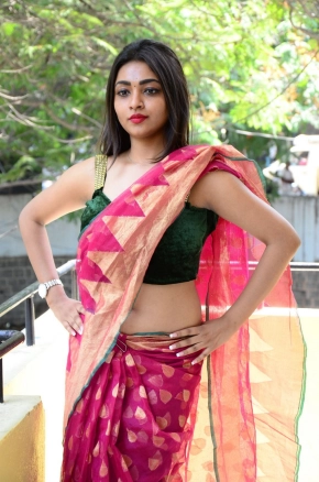 Shraddha Sharma Hot Telugu Actress In Saree Photos