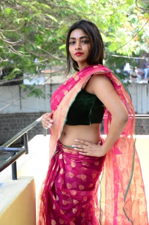 Shraddha Sharma Hot Telugu Actress In Saree Photos