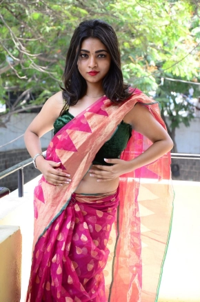 Shraddha Sharma Hot Telugu Actress In Saree Photos