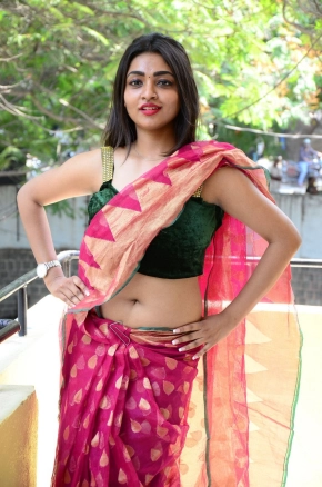 Shraddha Sharma Hot Telugu Actress In Saree Photos