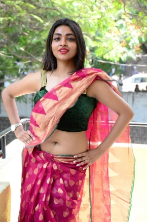 Shraddha Sharma Hot Telugu Actress In Saree Photos