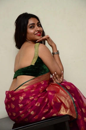 Shraddha Sharma Hot Telugu Actress In Saree Photos