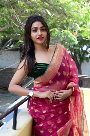 Shraddha Sharma Hot Telugu Actress In Saree Photos