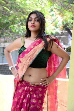 Shraddha Sharma Hot Telugu Actress In Saree Photos