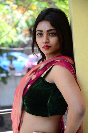 Shraddha Sharma Hot Telugu Actress In Saree Photos