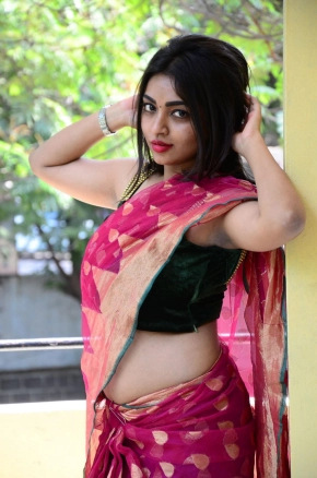 Shraddha Sharma Hot Telugu Actress In Saree Photos