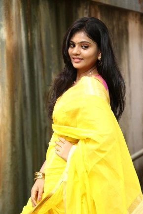 Tamil Actress Megan Ellen Saree Photos