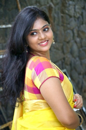 Tamil Actress Megan Ellen Saree Photos