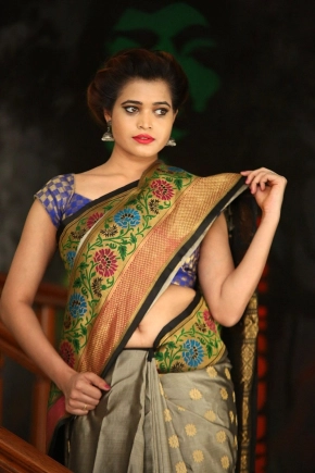 Telugu Actress Dipali Raut In Saree Photos