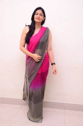 Telugu Actress Kalpika Ganesh Looks Hot Sexy In Sleeveless Pink Saree Photos