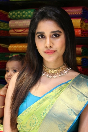 Telugu Actress Nabha Natesh In Silk Saree Photos