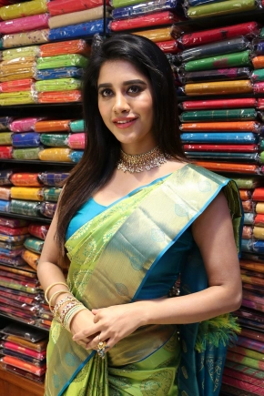 Telugu Actress Nabha Natesh In Silk Saree Photos