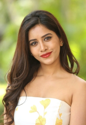 Telugu Actress Nabha Natesh Stills