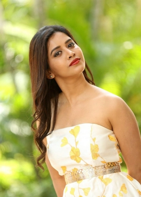 Telugu Actress Nabha Natesh Stills