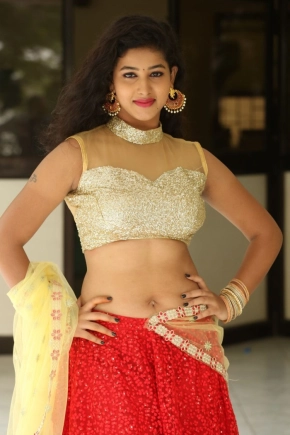 Telugu Actress Pavani In Half Saree Photos